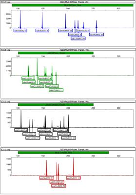 Multi-Indel: A Microhaplotype Marker Can Be Typed Using Capillary Electrophoresis Platforms